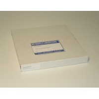 10 incg grinding discs 2400 grit